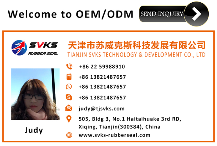 contact - judy.png contact - judy.png
