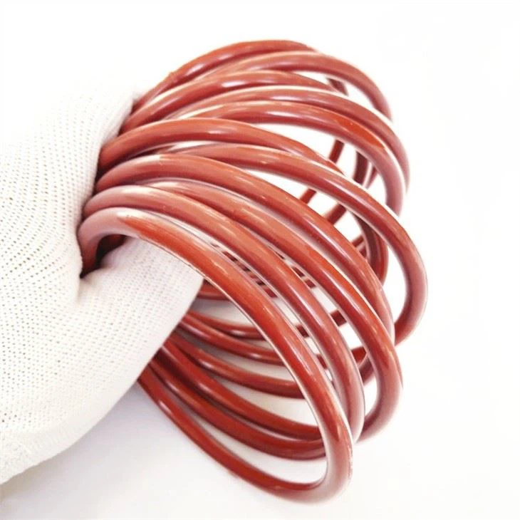 Encapsulated O Ring