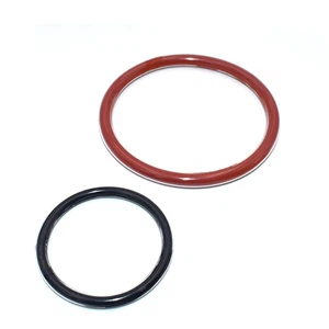 Red Colour Teflon Encapsulated Silicone O-Rings